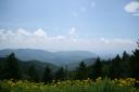 Great Smoky Mountain 2